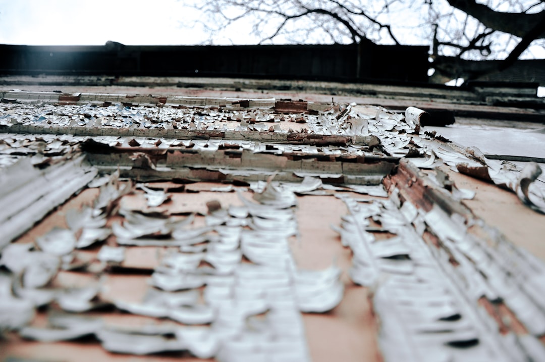 a close up of a building with a tree in the background